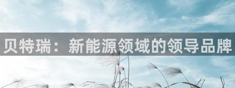新宝gg入口网址