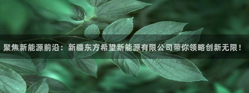 新宝gg时时彩