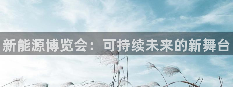 新宝gg注册jhjinde：新能源博览会