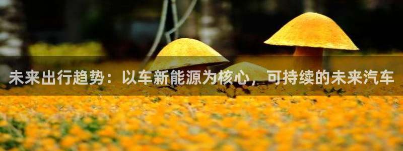 c新宝GG