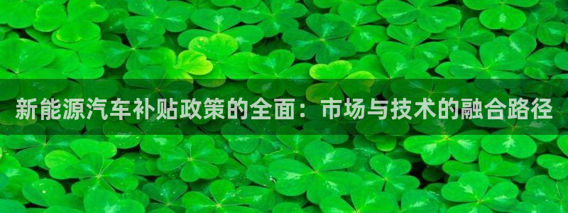 新宝gg手机app：新能源汽车补贴政策的