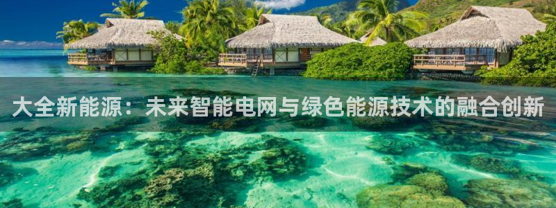 新宝GG槐78778：大全新能源：未来智