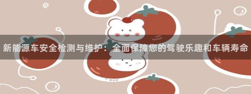 新宝gg搜740005：新能源车安全检测