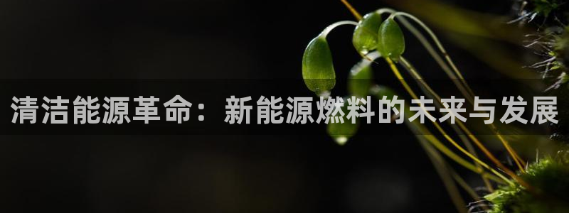 新宝gg 开户：清洁能源革命：新能源燃料