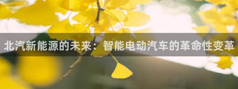 新宝gg官网：北汽新能源的未来：智能电动