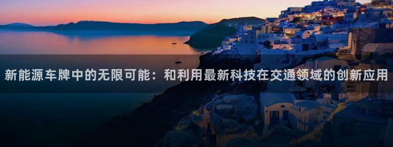 新宝gg代理注册：新能源车牌中的无限可能