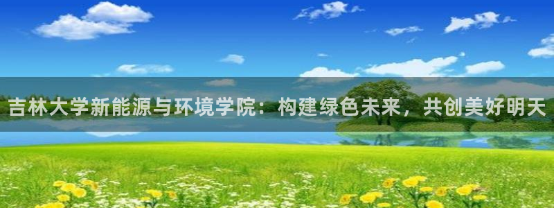 新宝gg有假吗：吉林大学新能源与环境学院