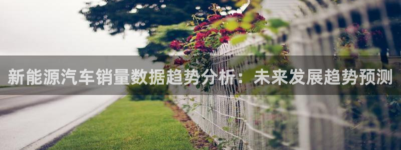 新宝gg网投：新能源汽车销量数据趋势分析