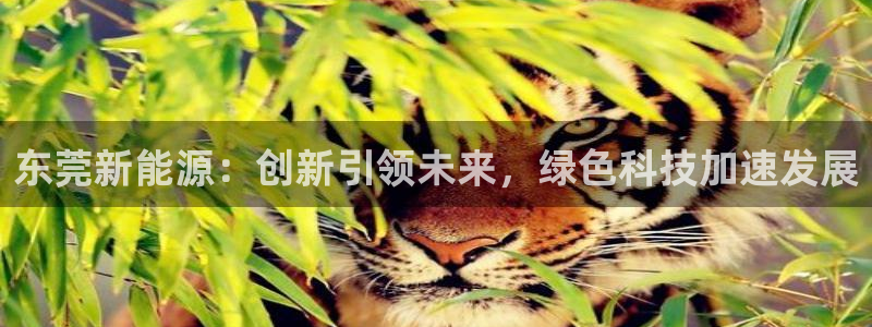新宝gg佣金：东莞新能源：创新引领未来，