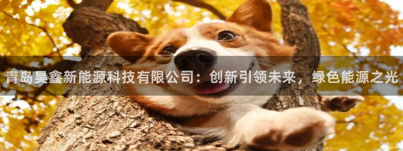 新宝gg登