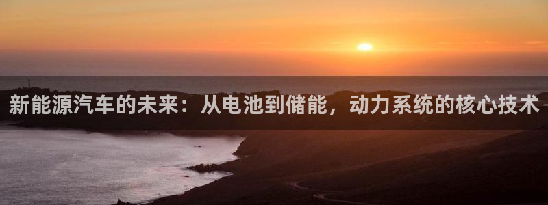 新宝gg老板64491：新能源汽车的未来