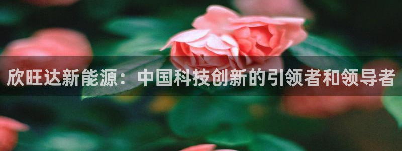 新宝gg 登陆：欣旺达新能源：中国科技创