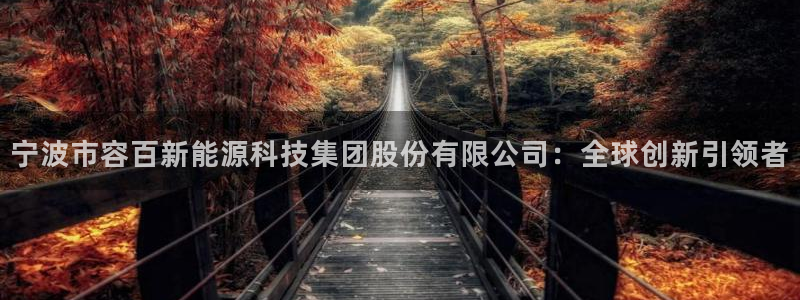 新宝gg — 创造!