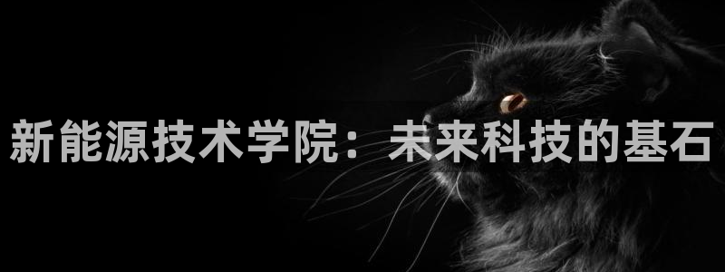 新宝gg作弊：新能源技术学院：未来科技的