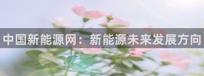 新宝GG管理
