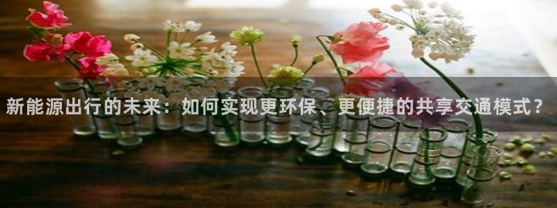 新宝GG官方域名：新能源出行的未来：如何