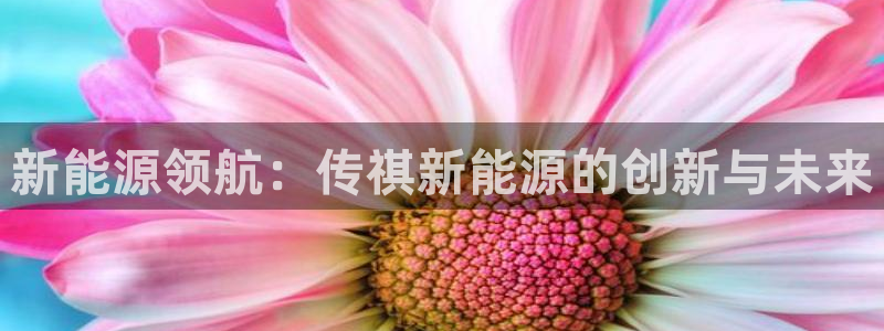 新宝gg有假吗