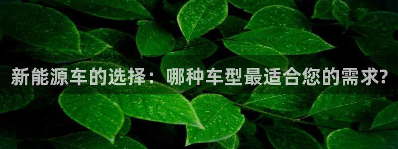 新宝gg测速登录:新能源车的选择:哪种车型最适合您的需求?