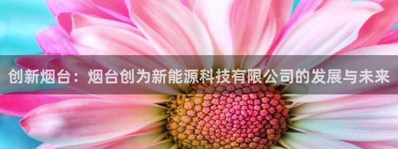 新宝gg主管都是谁