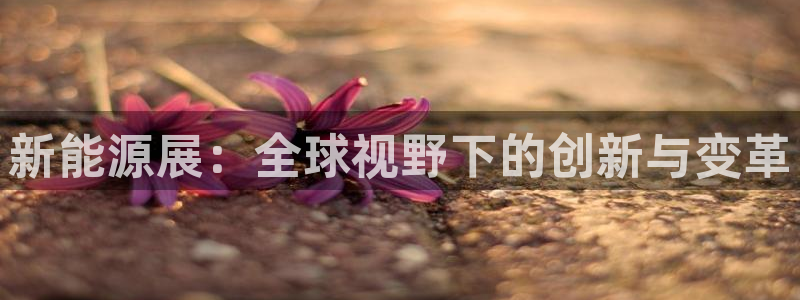 重庆新宝gg:新能源展:全球视野下的创新与变革