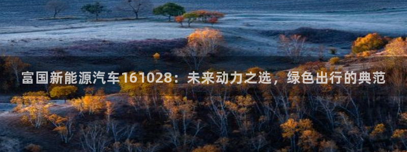 gg新宝时时彩:富国新能源汽车161028:未来动力之选,绿