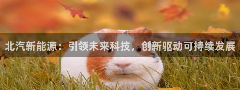 新宝gg平台q891465:北汽新能源:引领未来科技,创新驱