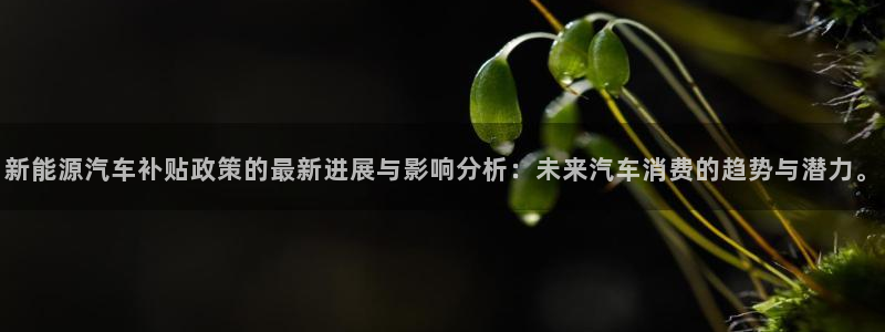 新宝gg招商89188:新能源汽车补贴政策的最新进展与影响分
