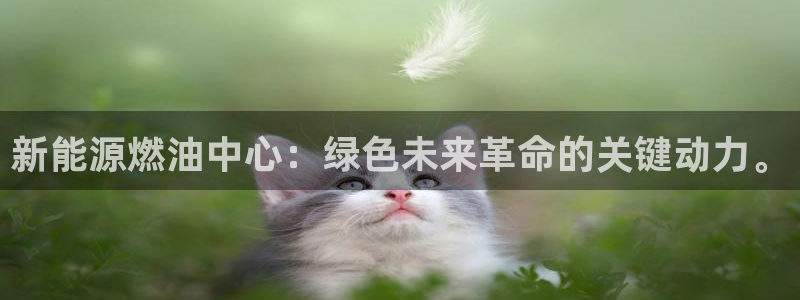 新宝 -gg登录:新能源燃油中心:绿色未来革命的关键动力。