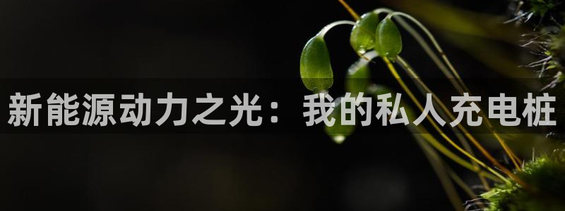 新宝GG傲78778:新能源动力之光:我的私人充电桩