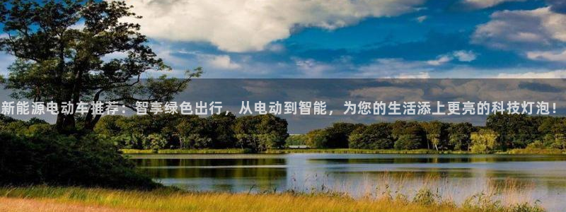 新宝gg新宝6:新能源电动车推荐:智享绿色出行,从电动到智能