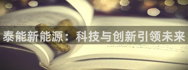 新宝gg3:泰能新能源:科技与创新引领未来