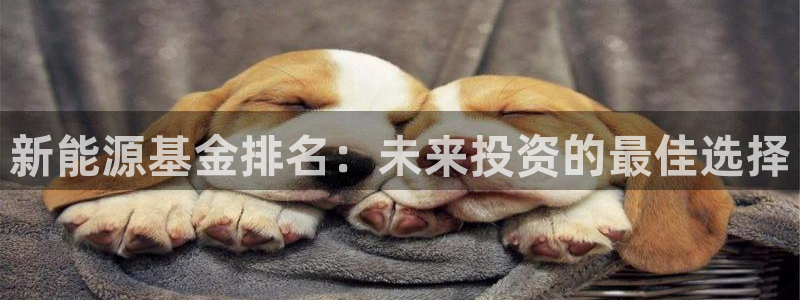 新宝gg注册cqdellar:新能源基金排名:未来投资的最佳