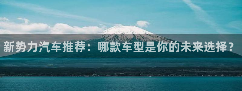 新宝gg资料:新势力汽车推荐:哪款车型是你的未来选择?