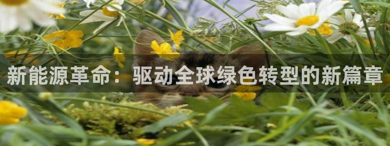 新宝gg真的能赚钱么:新能源革命:驱动全球绿色转型的新篇章