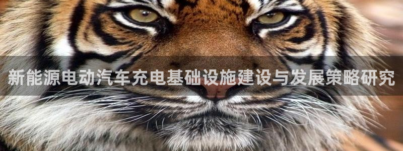 新宝gg计划