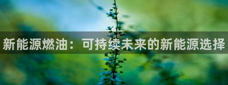 新宝gg代