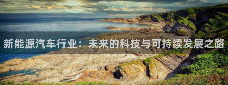 新宝GG电话:新能源汽车行业:未来的科技与可持续发展之路