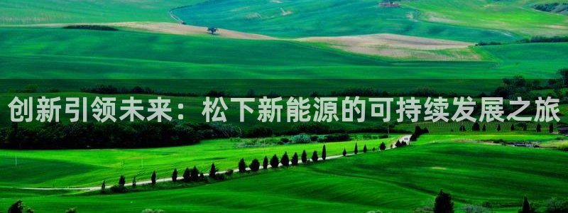 新宝gg高频彩票:创新引领未来:松下新能源的可持续发展之旅