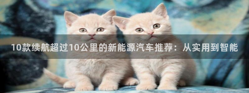 新宝gg cqdellar