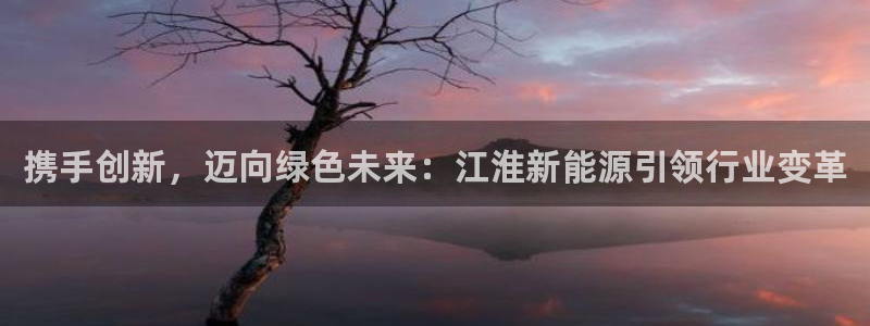 新宝gg重庆：携手创新，迈向绿色未来：江