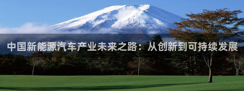 新宝gg网点:中国新能源汽车产业未来之路:从创新到可持续发展