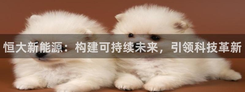 新宝gg网:恒大新能源:构建可持续未来,引领科技革新