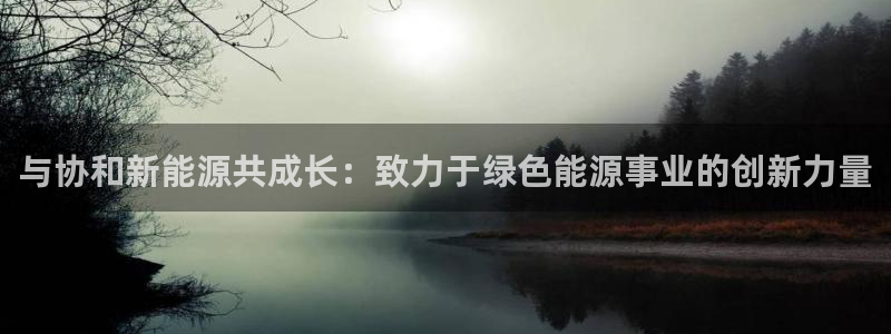 【新宝gg】