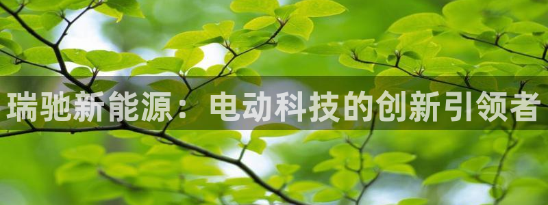 新宝gg代理条件