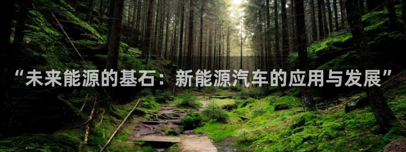 新宝GG于六七五一38：“未来能源的基石