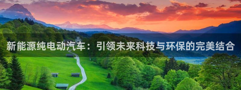 x新宝gg：新能源纯电动汽车：引领未来科