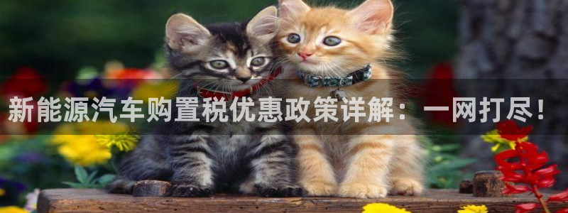新宝gg套利：新能源汽车购置税优惠政策详