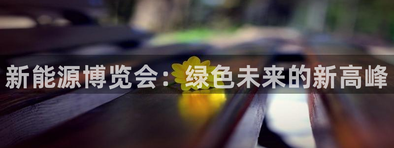 新宝gg平:新能源博览会:绿色未来的新高峰