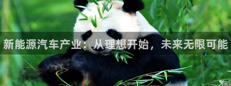 新宝gg 创造奇迹:新能源汽车产业:从理想开始,未来无限