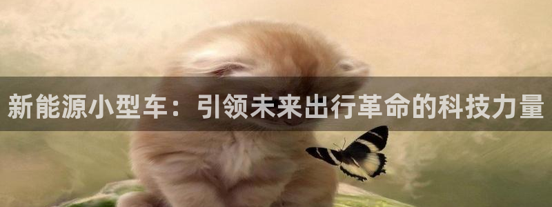 新宝gg开奖结果